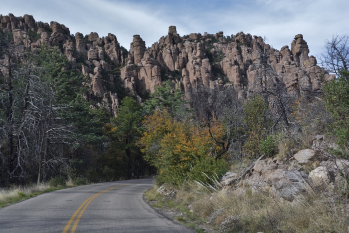 road leading into the park